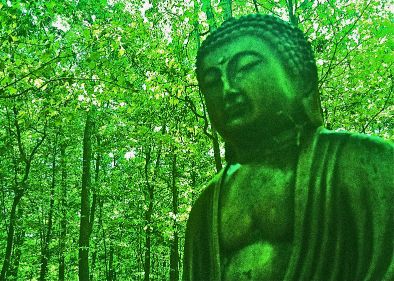 west green buddhist personals Search our complete business directory, with customer reviews, business profiles, expert answers and more we will help you find exactly what you need. west green buddhist personals Search our complete business directory, with customer reviews, business profiles, expert answers and more we will help you find exactly what you need.